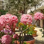 Hotel Chuchulev Sozopol