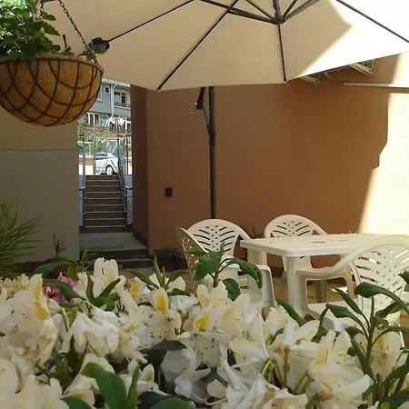 Chuchulev 3* Sozopol