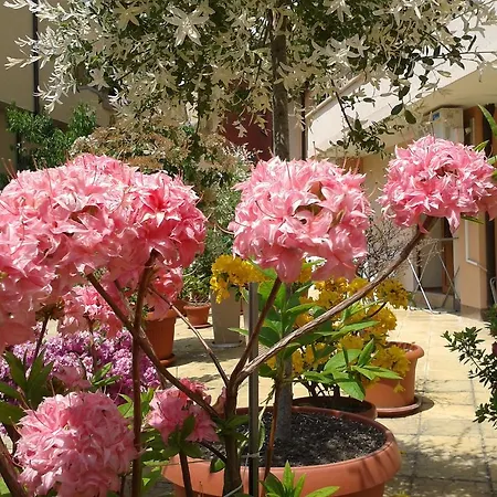 Hotel Chuchulev Sozopol