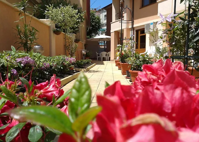 чучулев Хотел 3*