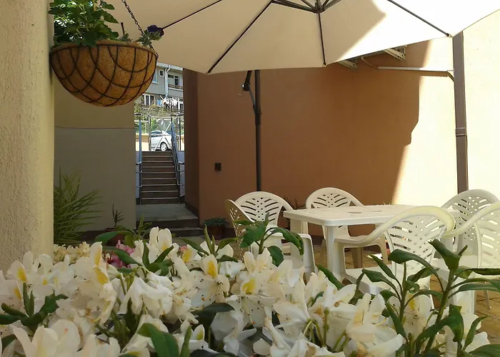 Хотел чучулев