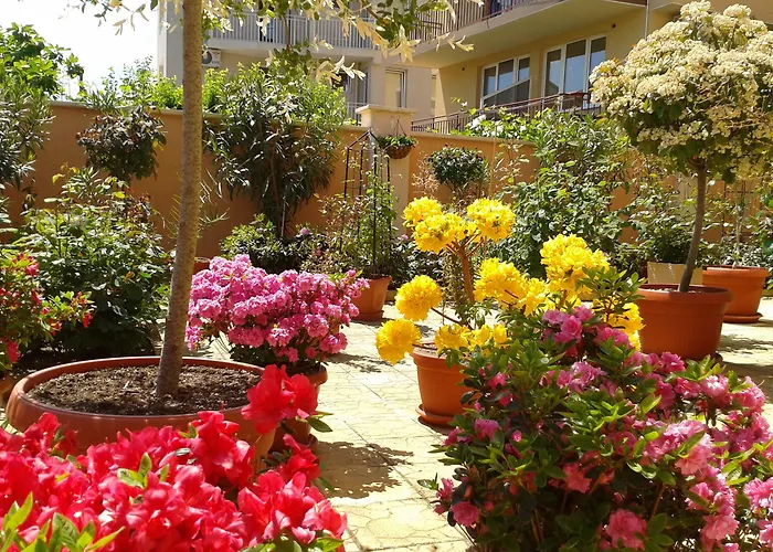 чучулев Хотел 3*