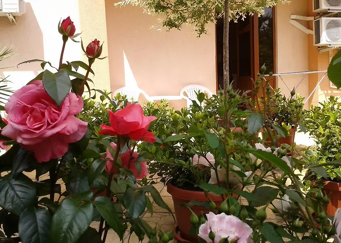 чучулев 3* Созопол