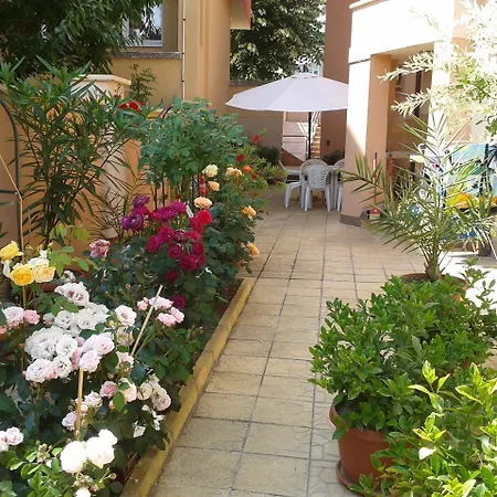 Chuchulev 3*