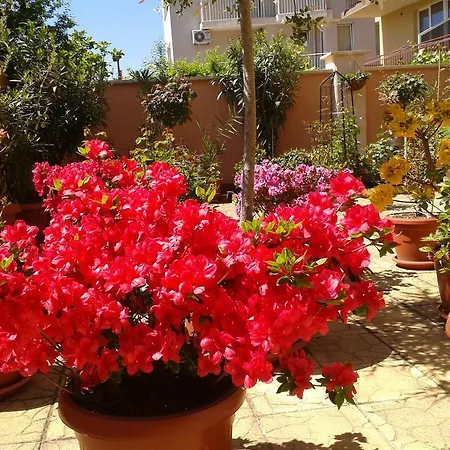 Chuchulev Hotel Sozopol