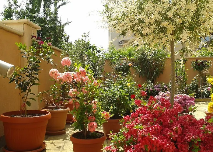 Chuchulev Отель